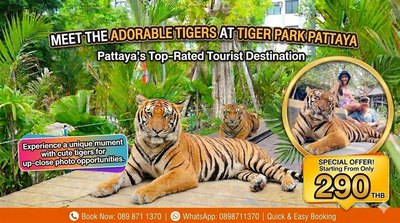 Discount ticket price with Tiger Park Pattaya